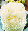 White Chocolate Malt Cake