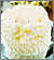 White Chocolate Malt Cake White Chocolate Malt Cake