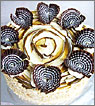 Cuppucino Cake Cuppucino Cake