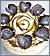 Cuppucino Cake Cuppucino Cake