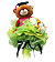 Congrat Your Day Congrat Your Day