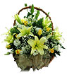 Flourishing Garden