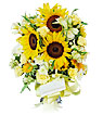 Bountiful Sunflowers