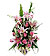 Cupid's Charm Cupid's Charm