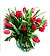 Timeless Tulips Timeless Tulips