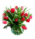 Timeless Tulips Timeless Tulips