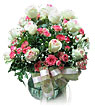 Pink of Love