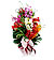 Timeless Orchids Timeless Orchids