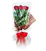 Red Blooming