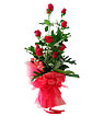 Magical Red Roses