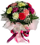 Blooming your Day Blooming your Day