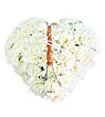 White Carnations in My Heart