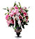 Cheerful Blossom Wishes
