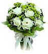 Enchanting White Roses