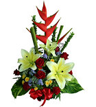 Fancy of Color Basket