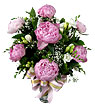 Scent of Enchantment Scent of Enchantment