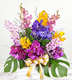 Abundant Orchid Wishes Abundant Orchid Wishes