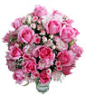 Luscious Pink Luscious Pink