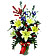 Colors of Life Colors of Life
