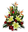 Blooms of Happiness Blooms of Happiness