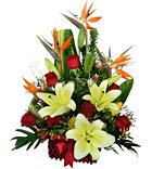 Blooms of Happiness Blooms of Happiness