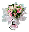 Pink Passions [A]