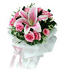 Pink Passions [B]