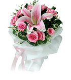 Pink Passions [B]