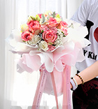 Pink Passions [D]