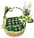 Brands Basket (D) Brands Basket (D)