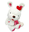 Hi My Valentine [B]