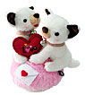 Melody of Love