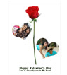 Valentine [010]
