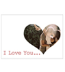 Valentine [012]