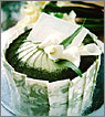 Greentea Custard Cake Greentea Custard Cake