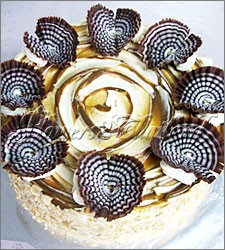 Cuppucino Cake