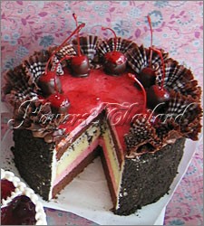 Berry Chocky cake