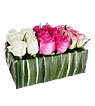 Flowers in The box