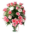 Sweet Pink Roses