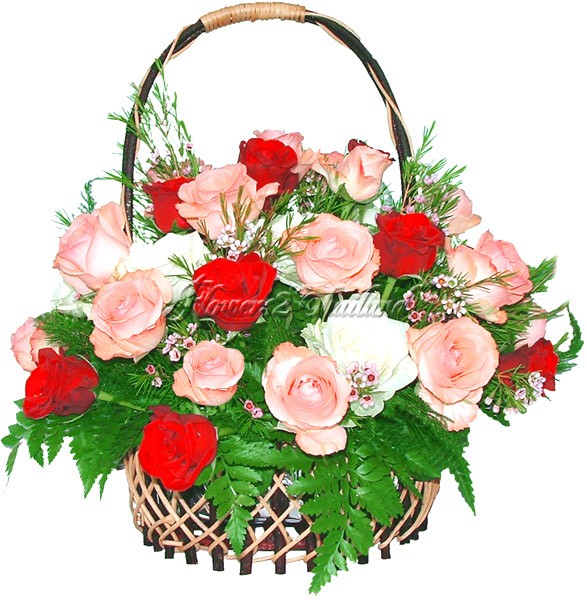 http://www.flowers2thailand.com/sources/flv071a1.jpg