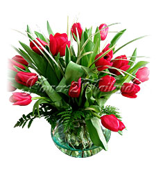 Timeless Tulips
