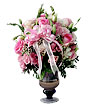 Cheerful Blossom Wishes