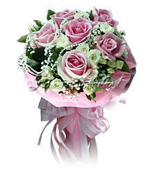 Enchanting Pink Roses