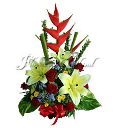 Fancy of Color Basket