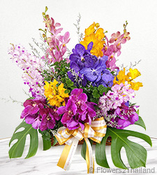 Abundant Orchid Wishes