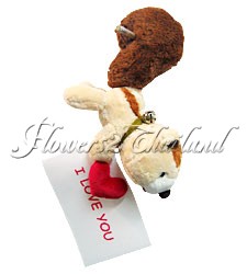 Love Postman Squirrel